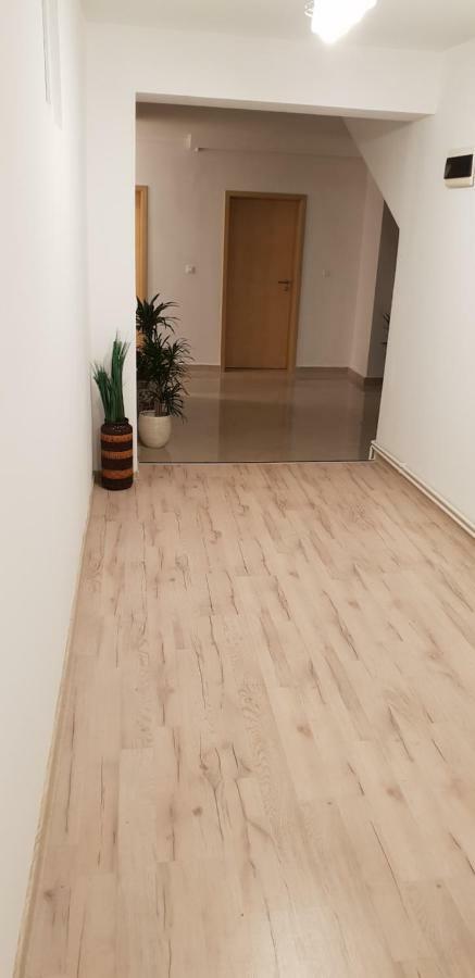 فندق Casa Lions تيميشورا المظهر الخارجي الصورة