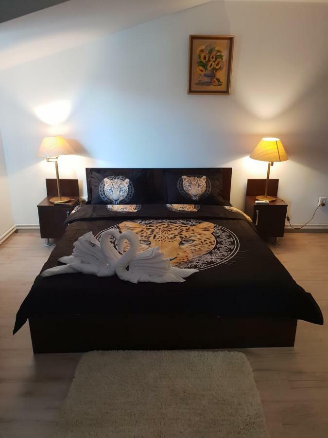 فندق Casa Lions تيميشورا المظهر الخارجي الصورة